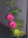 Ikebana, Blumen ein Tor zum Leben