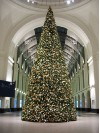 Transporttaschen für Christbäume und anderes Grün